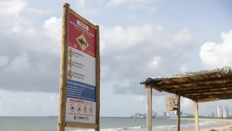 O que sabemos sobre os ataques de tubarões em praias de Pernambuco