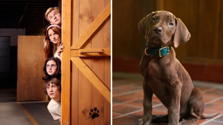 “Scooby-Doo: A Origem”: tudo o que sabemos sobre live-action