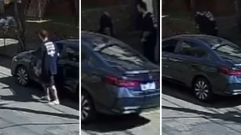 Vídeo: homem agride idoso após discussão envolvendo cachorro em BH