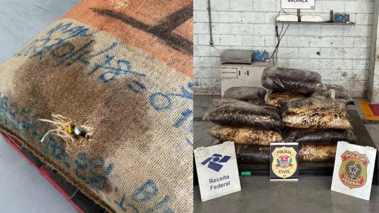 Polícia apreende droga avaliada em R$ 14 milhões escondida em carga de café