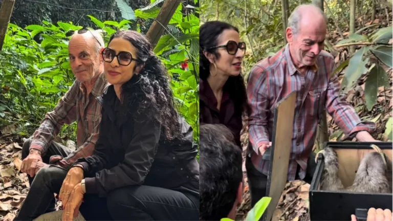 Ney Matogrosso participa de soltura de bicho-preguiça após reabilitação