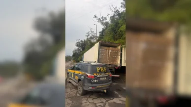 Linguiça calabresa de R$ 200 mil que viajaria pelo Brasil é apreendida