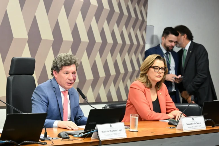 Após adiamento, comissão volta a discutir relatório da taxa das blusinhas