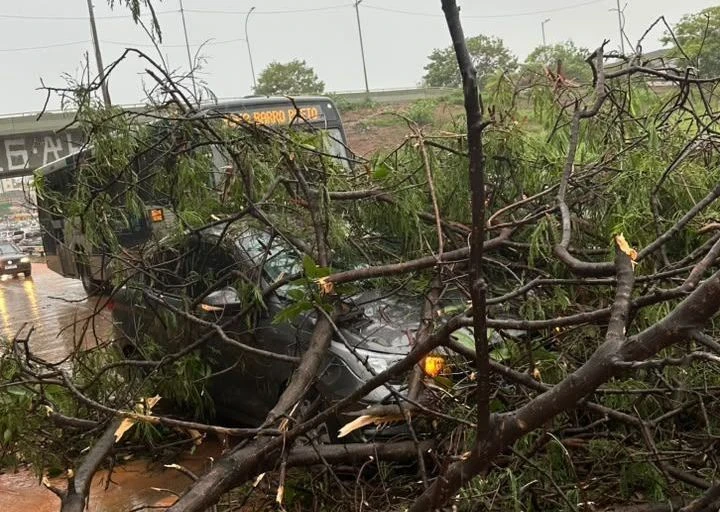 Chuvas provocam ventos de até 150 km/h em Minas Gerais
